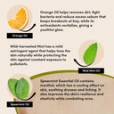 Urban Veda Skin Protect Purifying Overnight Hydrator | Night Cream | Antibacterial Active Neem & Tea Tree | Face Care | For Oily & Congested Skin | Face moisturiser | Collagen Cream | Vegan | 50 ML