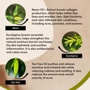 Urban Veda Skin Protect Purifying Overnight Hydrator | Night Cream | Antibacterial Active Neem & Tea Tree | Face Care | For Oily & Congested Skin | Face moisturiser | Collagen Cream | Vegan | 50 ML