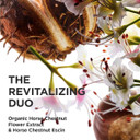 Clarins Nutri-Lumière Night Cream 50ml