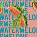 SHAY & BLUE Natural Spray Fragrance Watermelons with Fresh Green Mandarin