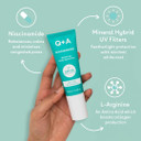 Q+A Niacinamide SPF 50 Balancing Daily Sunscreen (50ml), Broad-Spectrum UVA/UVB Protection, Face Sunscreen with Aloe Vera, Oil Control and Pore Refining, Fragrance Free Skincare,Sun Protection