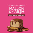 Mallow & Marsh Ultimate Smore Bar - Caffé Mocha, Milk Chocolate Covered Coffee Marshmallow with Biscuit Base (14 x 42g)