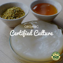 Freshly Fermented - Organic Jun Tea Scoby (1 Litre Size)