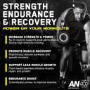 AN Performance Creatine + Peptide Powder 5g Creatine Monohydrate and 2.4g PeptiStrong Per Serving for Strength Endurance Recovery and Muscle Growth Unflavoured (444g - 60 Servings)