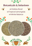 English Tea Shop Organic Holiday Wellness Collection - 12 Loose Leaf Pyramid Tea Bags