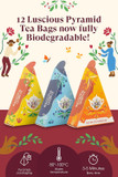 English Tea Shop Organic Wellness Collection - 12 Loose Leaf Pyramid Tea Bags