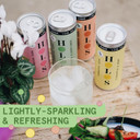HOLOS Mixed Case Sparkling Kombucha Soda - 3x Each Raspberry & Lemon, Apple & Elderflower, Ginger & Turmeric, Pineapple & Mint - Sugar Free Gluten Free Live Culture Drink - 12 x 250ml Kombucha Cans