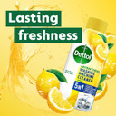 Dettol Washing Machine Cleaner Citrus 250 ml - Deep Clean Antibacterial Drum Treatment, Prevents Odours, Kills 99.99% Germs, Fresh Laundry Solution, Effective Hygiene, Odour-Free Performance Dettol Washing Machine Cleaner Citrus 250 ml - Deep Clean Antibacterial Drum Treatment, Prevents Odours, Kills 99.99% Germs, Fresh Laundry Solution, Effective Hygiene, Odour-Free Performance