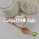 Freshly Fermented  Organic Certified Milk Kefir Grains Starter Culture