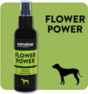 ANIMOLOGY Flower Power Dog Fragrance - Perfume Spray for Dogs - A Fragrance Mist with Long-lasting Notes of Rose and Jasmine - Vegan Friendly - 150 ml