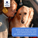 Vetvits by Healthspan MagiCalm For Dogs (60 Tablets) | For Naturally Calmer & Less Anxious Dogs | Gentle, Soothing Formulation | Magnesium, Chamomile & B Vitamins | Tasty Beef Flavoured (60 Tablets)