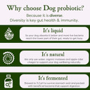MICROBZ DOG NUTRITION | 1 Litre | Liquid Beneficial Microbes for Dogs Gut Health, Digestive Care & Coat Health  Gluten & Dairy Free, 100% Natural - Up to 100 Servings MICROBZ DOG NUTRITION | 1 Litre | Liquid Beneficial Microbes for Dogs Gut Health, Digestive Care & Coat Health  Gluten & Dairy Free, 100% Natural - Up to 100 Servings