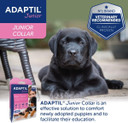 Adaptil Junior Adjustable Puppy Collar | Adaptil Dog Collar To Help Reduce Puppy Anxiety Using Natural Pheromones | Adjustable Calming Dog Collar For Puppies To Aid Training And Socialisation