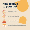 Seraquin Joint | 60 x 2 g chewable tablets | Maintains healthy joints | Supports mobility | Glucosamine, chondroitin and turmeric | For dogs