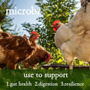 MICROBZ HORSE NUTRITION | 1 Litre | Liquid Beneficial Microbes for Horses & Foals, to Support Equine Digestive Health, Immunity & Performance - 100% Natural