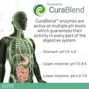 CURA NUTRITION CURAZYME Tolerance (30 Capsules) Food Intolerance Digestive Enzymes Supplement for Gut Health Support, Broad Spectrum Enzyme Complex for Bloating, Heartburn, Digestion Relief, Vegan