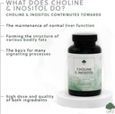 Choline & Inositol Capsules | 250mg Choline (Bitartrate) & 250mg Inositol per Capsule | 120 Vegan Capsules | G&G Vitamins