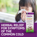 Schwabe Pharma - Kaloba Cough & Cold Relief Syrup - Pelargonium Sidoides Root Extract - Traditionally Used for Common Cold, Runny Nose, Sore Throat, Blocked Nose, Cough - Sugar Free  100ml