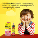 Rescue Remedy Kids Calm Days Pastilles (Strawberry), Promotes & Maintains Everyday Calm, Flower Essence Formula, Alcohol Free, Managing The Stress of Tests, Travel & Adapting to New Surroundings Rescue Remedy Kids Calm Days Pastilles (Strawberry), Promotes & Maintains Everyday Calm, Flower Essence Formula, Alcohol Free, Managing The Stress of Tests, Travel & Adapting to New Surroundings