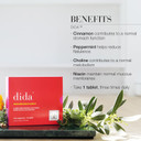 New Nordic Dida, 1 Month Supply, Natural Food Supplement with Peppermint and Cinnamon, Supports Normal Digestion and Reduces Bloating, 90 Tablets