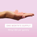 TRIP CBD Infused Wild Strawberry Gummies (2 Pack, 60 Gummies). High Strength CBD Edibles. 600MG CBD  Vegan, THC-Free, Natural Flavour