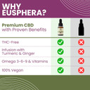 CBD Oil 10% with Turmeric & Ginger - 1000mg Cannabidiol Oil Drops Anti Inflammatory Joint & Muscle Relaxation - High Strength Natural Hemp Oil - Eusphera CBD Oil - 10ml