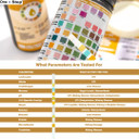 12 Parameter Urine Test Strips Creatinine, Microalbuim, UTI Infection, Ketone, Blood, Glucose Testing Sticks (200 Tests - 2 Tubs)