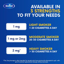 Nicotinell Mint Gum 2mg (204 Pieces), Stop Smoking Aid, Sugar Free Nicotine Gum, Mint Flavour, 2mg Extra Strength for Heavy Smokers, Quit Smoking Aid