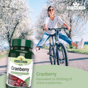 Natures Aid Cranberry 200mg  High Strength Tablets  Supports Urinary Tract Health & Immune System  Antioxidant Protection  Vegan, Gluten Free  90 Tablets  Food Supplement