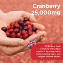 Healthspan Super Strength Cranberry (60 Capsules) | for Immune Health and Wellbeing | Equivalent to 25000 mg Whole Fresh Cranberries | Highly Concentrated Formulation | Added Vitamin C | Vegan