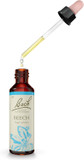 Bach Original Flower Remedies (Rock Water) Live & Let Live, Flexible Mind, Emotional Wellness, Natural Flower Essence, 20ml
