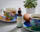 Bach Original Flower Remedies (Rock Water) Live & Let Live, Flexible Mind, Emotional Wellness, Natural Flower Essence, 20ml
