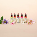 Bach Original Flower Remedies (Star Of Bethlehem) Find Joy & Hope, Be Comforted, Emotional Wellness, Natural Flower Essence, 20ml