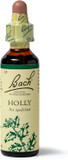 Bach Original Flower Remedies (Holly) Stand Your Ground, Goodwill Towards Others, Emotional Wellness, Natural Flower Essence, 20ml Bach Original Flower Remedies (Holly) Stand Your Ground, Goodwill Towards Others, Emotional Wellness, Natural Flower Essence, 20ml