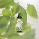Bach Original Flower Remedies (Holly) Stand Your Ground, Goodwill Towards Others, Emotional Wellness, Natural Flower Essence, 20ml Bach Original Flower Remedies (Holly) Stand Your Ground, Goodwill Towards Others, Emotional Wellness, Natural Flower Essence, 20ml