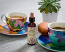 Bach Original Flower Remedies (Heather) Reach Out To Others, Empathise & Listen, Emotional Wellness, Natural Flower Essence, 20ml