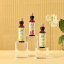 Bach Original Flower Remedies (Mustard) Live The Day, Stay Joyful, Emotional Wellness, Natural Flower Essence, 20ml