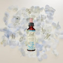 Bach Original Flower Remedies (Beech) Live & Let Live, Be Tolerant, Emotional Wellness, Natural Flower Essence, 20ml