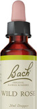 Bach Original Flower Remedies (Wild Rose) Live The Day, Show Enthusiasm, Emotional Wellness, Natural Flower Essence, 20ml