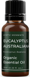Mystic Moments | Organic Eucalyptus Australiana (Radiata) Essential Oil 30ml - Pure & Natural Oil for Diffusers, Aromatherapy & Massage Blends Vegan GMO Free Mystic Moments | Organic Eucalyptus Australiana (Radiata) Essential Oil 30ml - Pure & Natural Oil for Diffusers, Aromatherapy & Massage Blends Vegan GMO Free