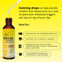 Rescue Remedy Comfort & Reassure Dropper (20ml) Promotes Calm, Support in Times of Emotional Demand, Natural Emotional Wellness, Flower Essences, Support in a Stress Full Moment