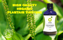 Organic Herbal Remedies 100 ml Plantain Tincture