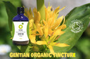 Organic Herbal Remedies 100ml Gentian Tincture