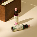 Bach Original Flower Remedies Wooden Box Set (38 Flower Essences + 2 Rescue Remedy + 2 Mixing Bottles) Dr Bach Professional Flower Remedy Kit