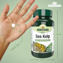 Natures Aid Sea Kelp 187mg  180 Vegan Tablets  High Strength Iodine Supplement  Supports Thyroid Function & Skin  With Calcium  Gluten Free  Natural Source  No Artificial Additives