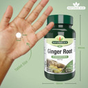 Natures Aid Ginger Root 500mg - Supports Digestion, Sickness, Nausea, Joint and Wellbeing - Botanical Supplement, Provides Gingerols and Shogaols - Vegan, Non-GMO, Gluten-Free - 90 Tablets Natures Aid Ginger Root 500mg - Supports Digestion, Sickness, Nausea, Joint and Wellbeing - Botanical Supplement, Provides Gingerols and Shogaols - Vegan, Non-GMO, Gluten-Free - 90 Tablets