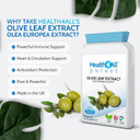 Health4All Olive Leaf Extract - 100mg Oleuropein Per Capsule | 20% Standardised 10:1 Extract from Wild European Leaves | 90 Vegan Capsules - 3 Month Supply | No Additives | Immune & Heart Support
