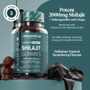 Shilajit Gummies  2000mg High Strength Shilajit with Ashwagandha, Chaga, Zinc, Iron, Selenium & Vitamin D  Himalayan Gummies for Men & Women  Energy, Brain & Immune Support  Novomins