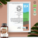 Organic Cinnamon Capsules 1000mg - 180 Vegan Capsules - Ceylon Cinnamon Powder - Soil Association Certified Digestion Supplement - Rich Source of Calcium - GMO & Gluten Free