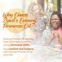 Zipvit Evening Primrose Oil 1000mg, 120 Softgel Capsules, Pure Cold Pressed Evening Primrose Oil, High in Omega 6 Gamma Linolenic Acid, Supports Women's Health Zipvit Evening Primrose Oil 1000mg, 120 Softgel Capsules, Pure Cold Pressed Evening Primrose Oil, High in Omega 6 Gamma Linolenic Acid, Supports Women's Health